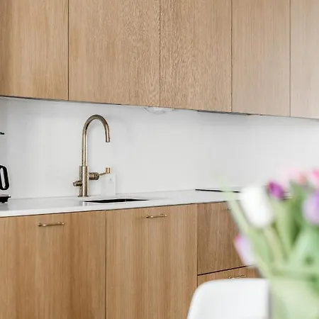 Apartment Deluxe Design With Sauna